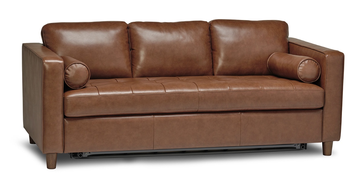 Dream Sofa Bed Whistler Furniture Co